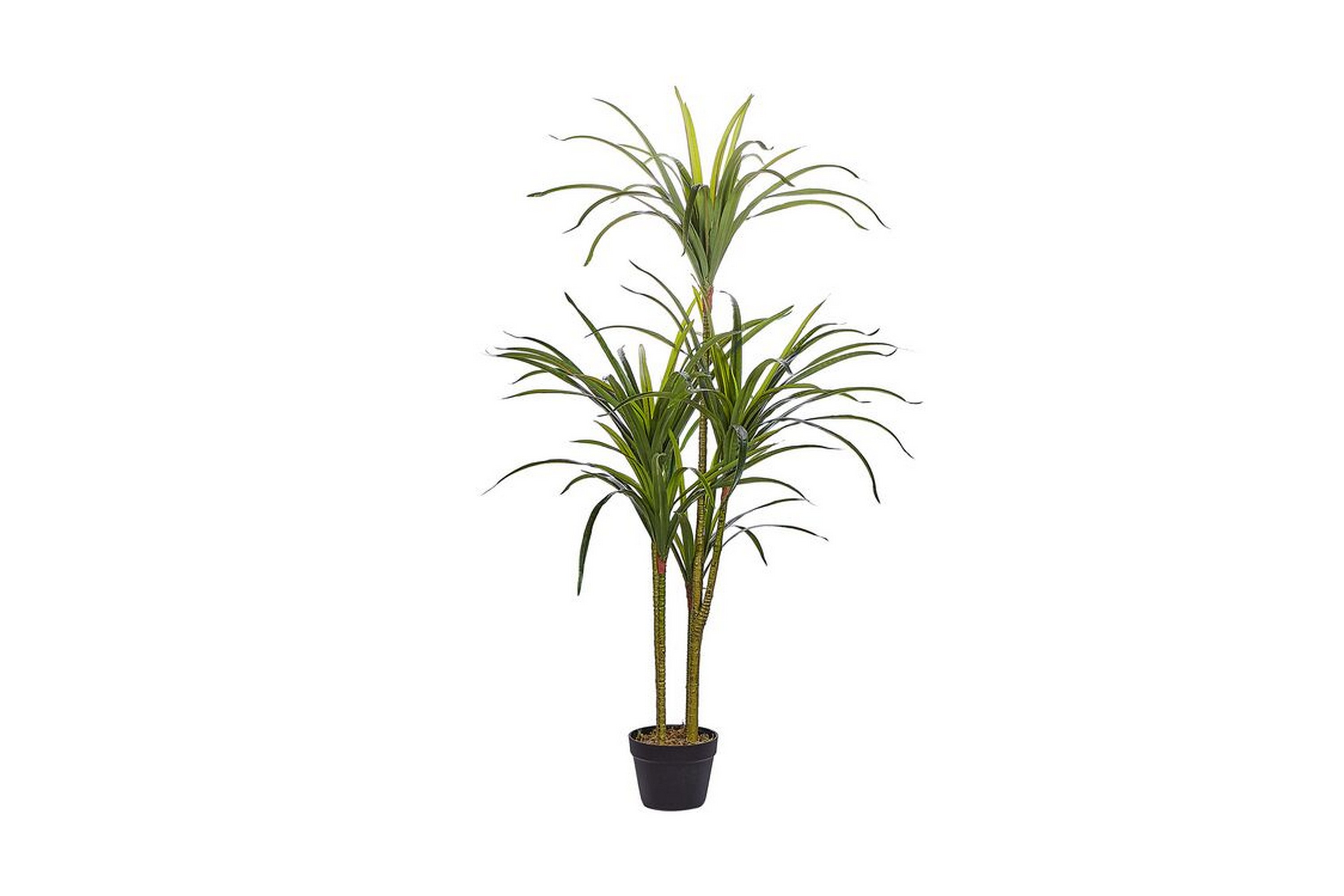 ARRDEN Konstgjord Krukväxt 147 cm Dracaena anita Grön –