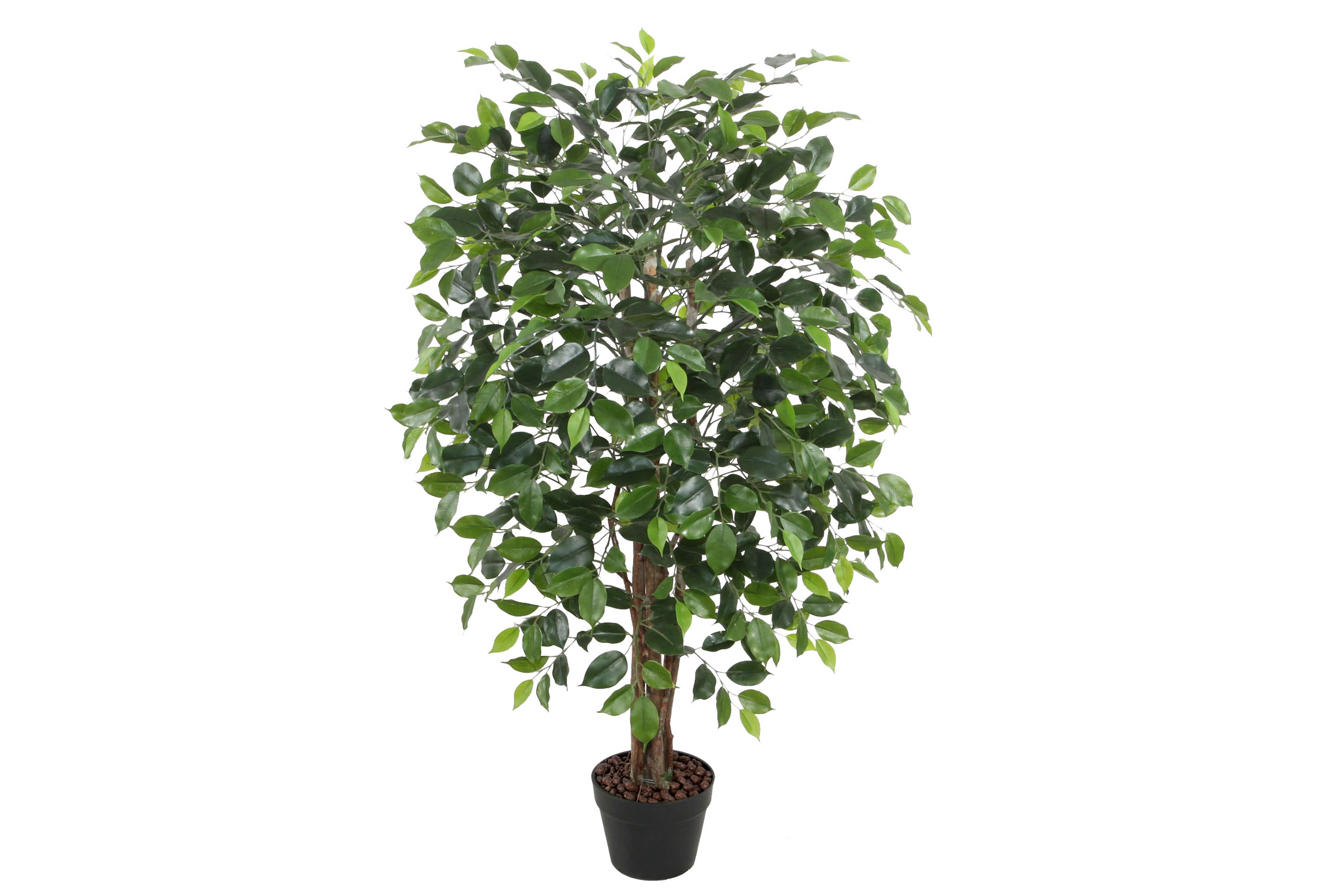 Grön Växt Ficus H120 cm 1 Gren Svart Kruka –