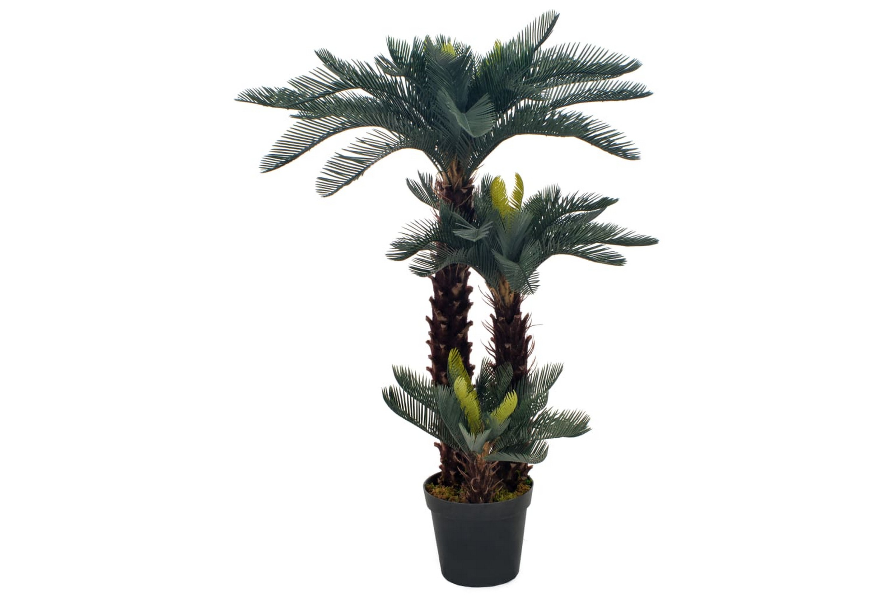 Konstväxt Cycas med kruka 125 cm grön – Grön