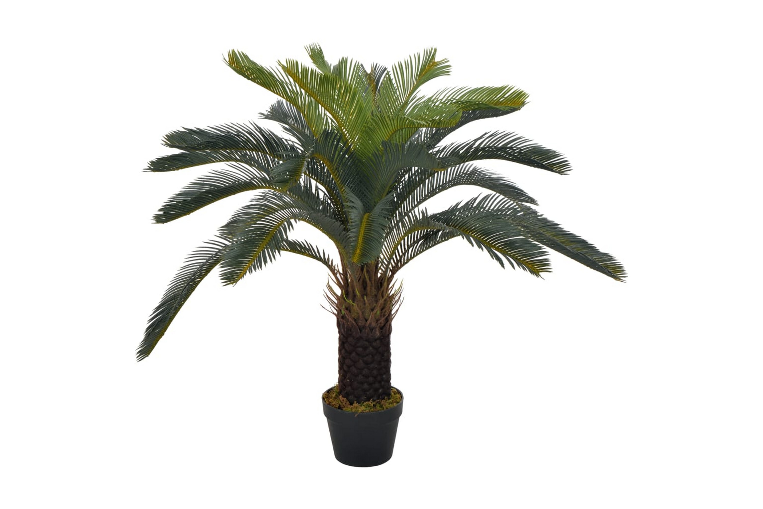 Konstväxt Cycas med kruka 90 cm grön – Grön