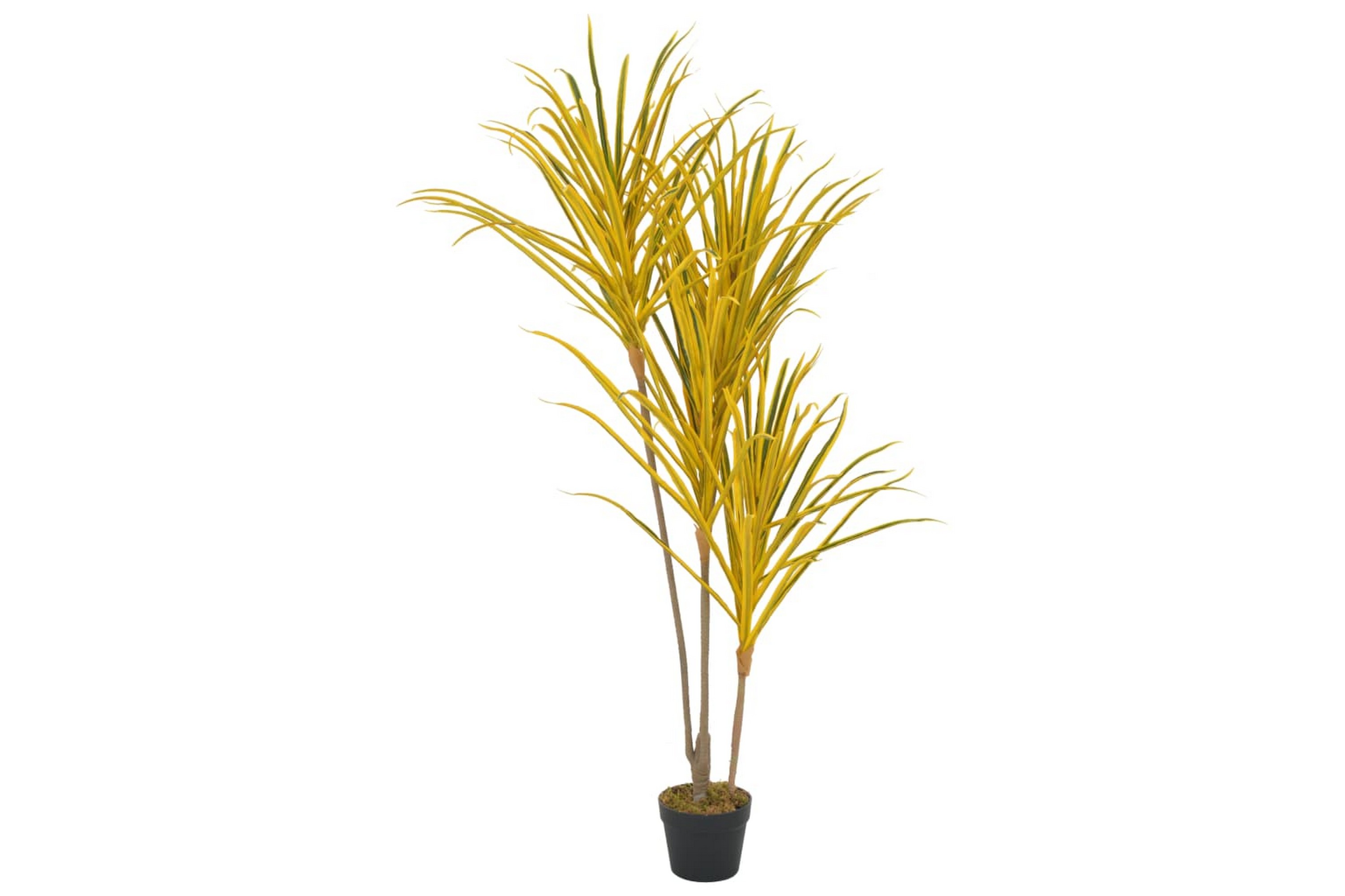 Konstväxt Dracaena med kruka 125 cm gul – Grön