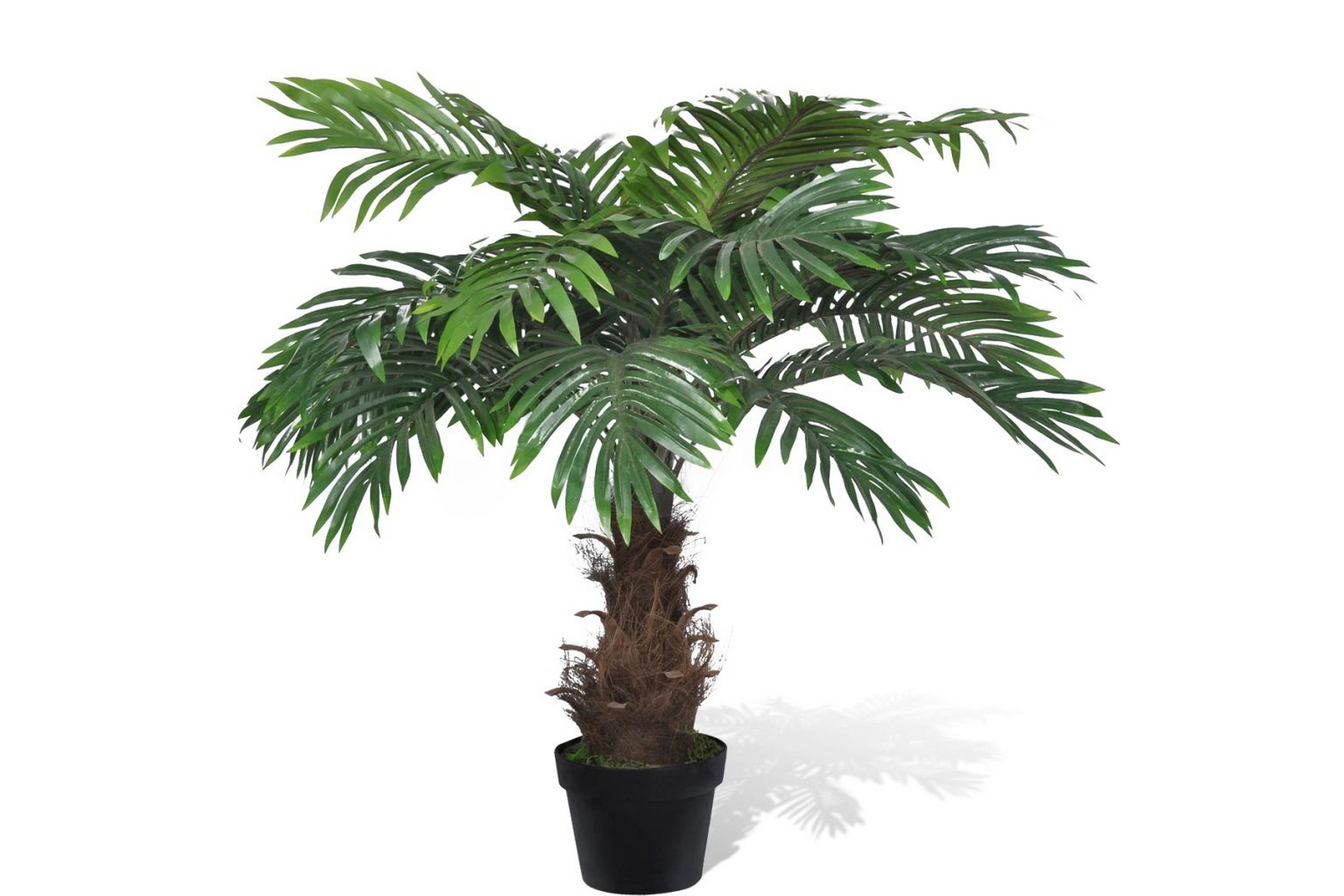 Konstväxt Findadelpalm med kruka 80 cm – Grön