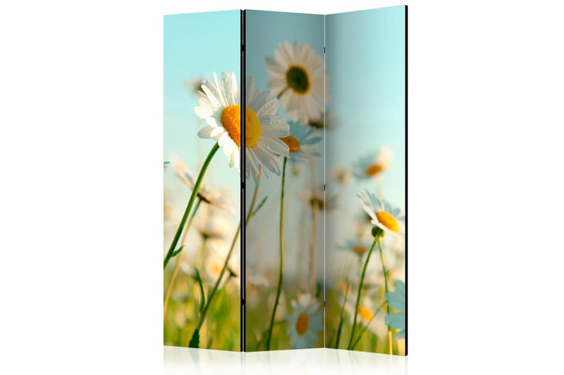 DAISIES SPRING MEADOW Rumsavdelare 135x172 cm - Artgeist sp. z o. o. - Inredning & dekor - Dekor & inredningsdetaljer - Rumsavdelare