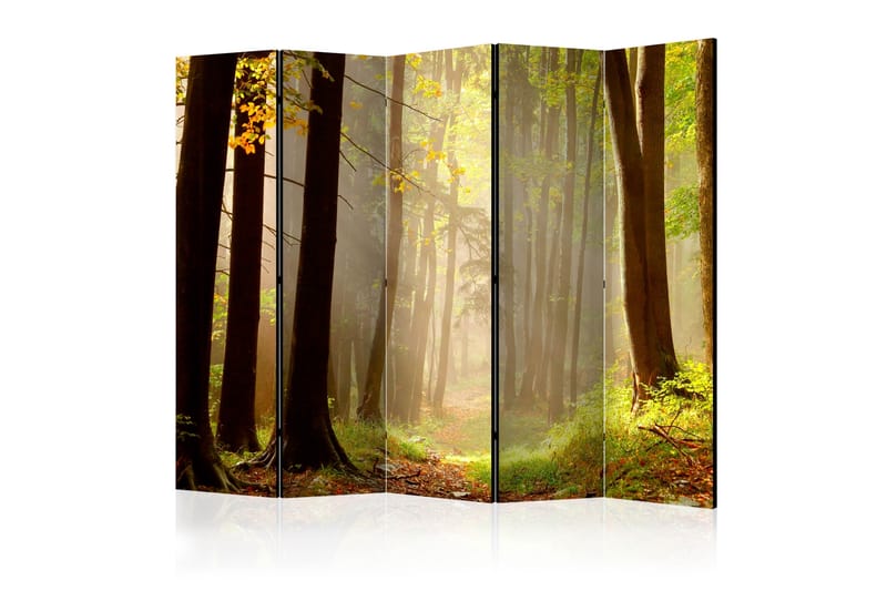 MYSTERIOUS FOREST PATH Rumsavdelare 225x172 cm - Artgeist sp. z o. o. - Inredning & dekor - Dekor & inredningsdetaljer - Rumsavdelare