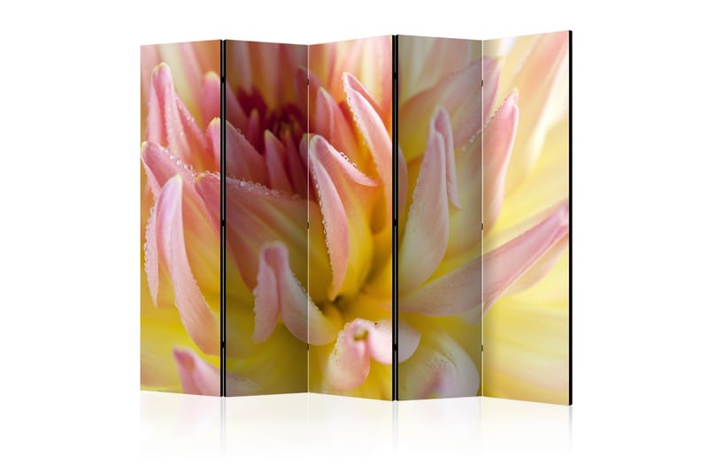 PASTEL COLORED DAHLIA FLOWER Rumsavdelare 225x172 cm - Artgeist sp. z o. o. - Inredning & dekor - Dekor & inredningsdetaljer - Rumsavdelare