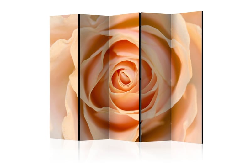 PEACH-COLORED ROSE Rumsavdelare 225x172 cm - Artgeist sp. z o. o. - Inredning & dekor - Dekor & inredningsdetaljer - Rumsavdelare