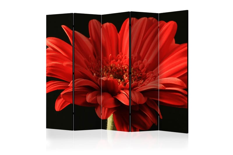 RED GERBERA FLOWER Rumsavdelare 225x172 cm - Artgeist sp. z o. o. - Inredning & dekor - Dekor & inredningsdetaljer - Rumsavdelare