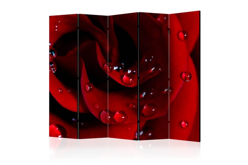 RED ROSE WITH WATER DROPS Rumsavdelare 225x172 cm - Artgeist sp. z o. o. - Inredning & dekor - Dekor & inredningsdetaljer - Rumsavdelare