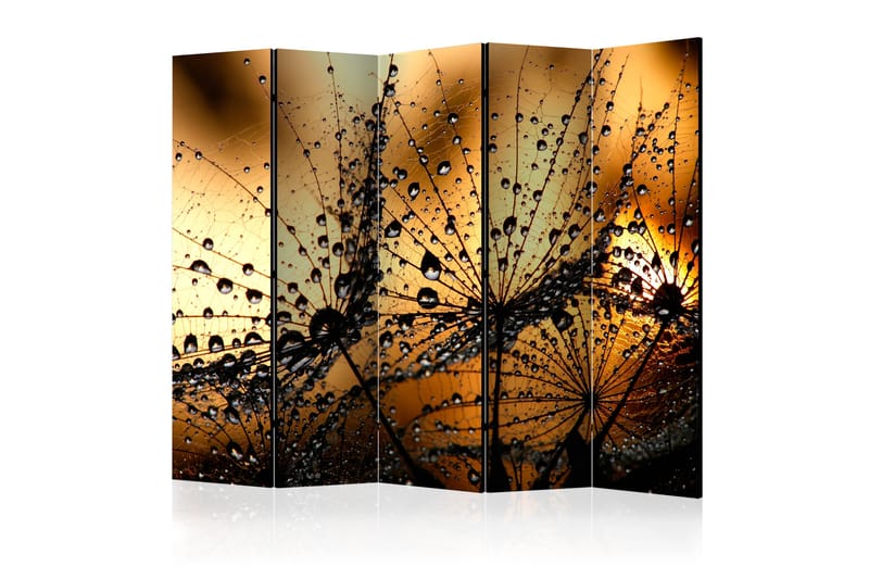 RUMSAVDELARE Dandelions In The Rain 225x172 - Artgeist sp. z o. o. - Inredning & dekor - Dekor & inredningsdetaljer - Rumsavdelare