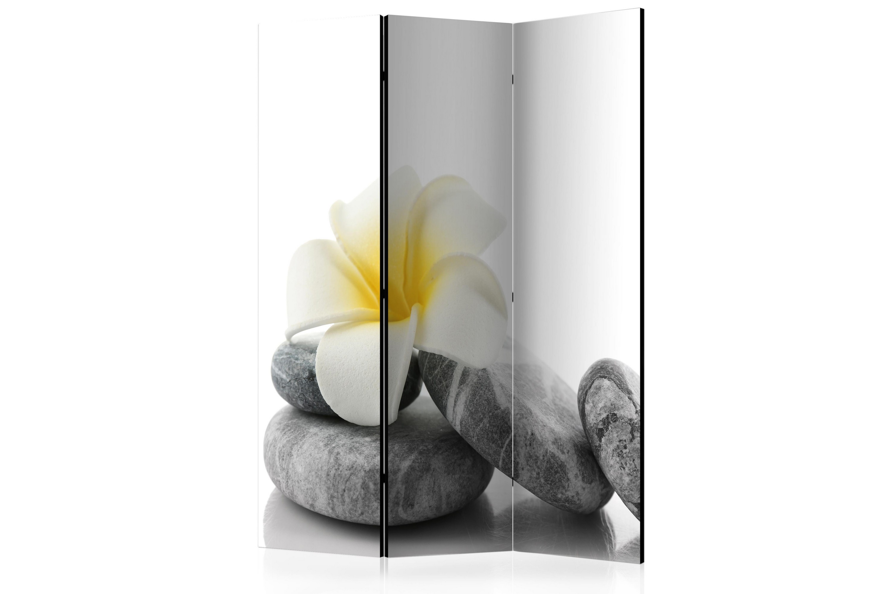 RUMSAVDELARE White Lotus 135×172 – Artgeist sp. z o. o.