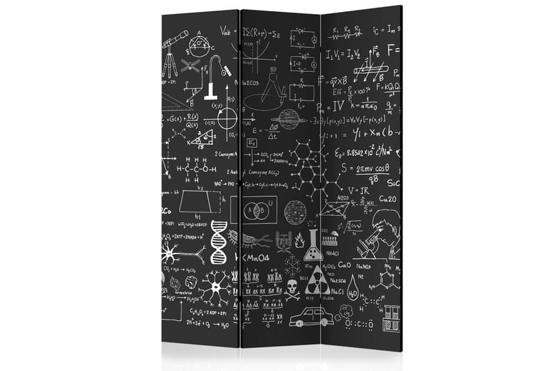 SCIENCE ON CHALKBOARD Rumsavdelare 135x172 cm - Artgeist sp. z o. o. - Inredning & dekor - Dekor & inredningsdetaljer - Rumsavdelare