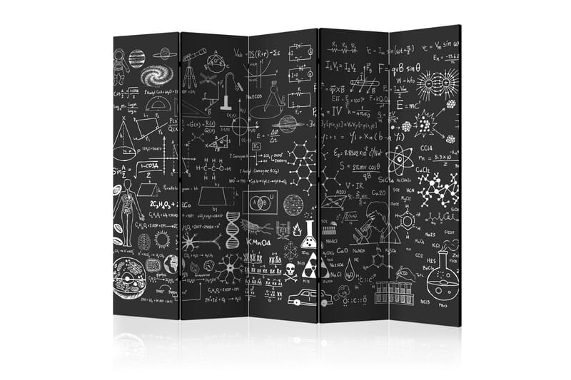 SCIENCE ON CHALKBOARD Rumsavdelare 225x172 cm - Artgeist sp. z o. o. - Inredning & dekor - Dekor & inredningsdetaljer - Rumsavdelare