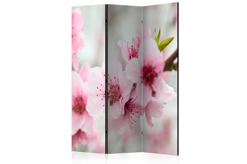 SPRING BLOOMING TREE PINK FLOWERS Rumsavdelare 135x172 cm - Artgeist sp. z o. o. - Inredning & dekor - Dekor & inredningsdetaljer - Rumsavdelare