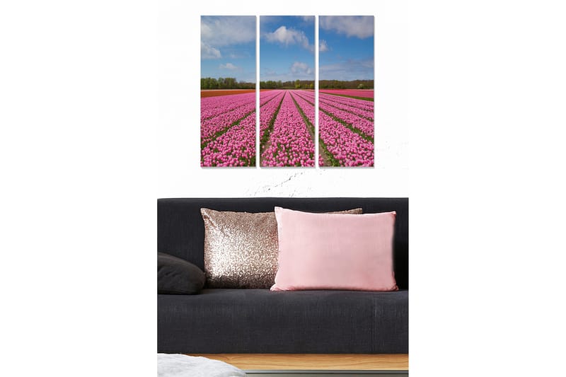 CANVASTAVLA Floral 3-pack Flerfärgad 20x50 cm - Inredning & dekor - Tavlor & konst - Canvastavla