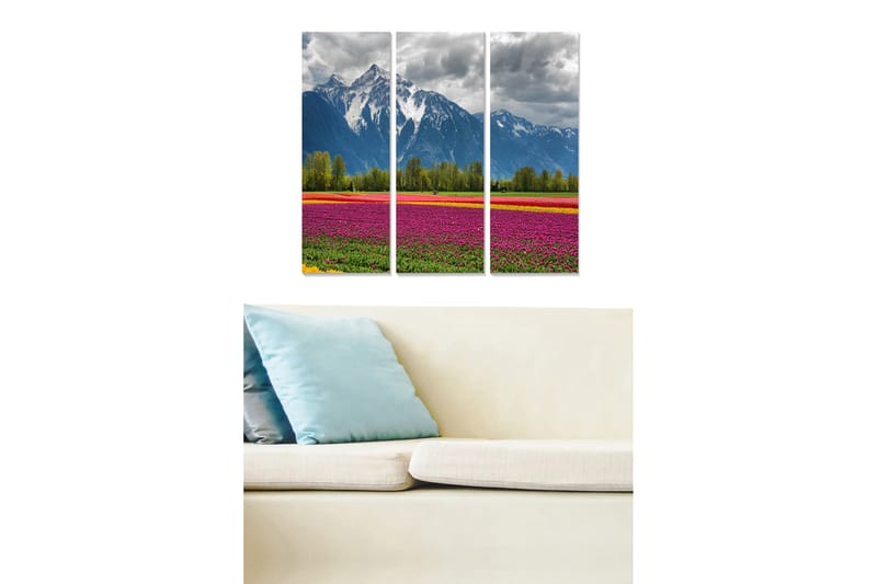 CANVASTAVLA Scenic 3-pack Flerfärgad 20x50 cm - Inredning & dekor - Tavlor & konst - Canvastavla