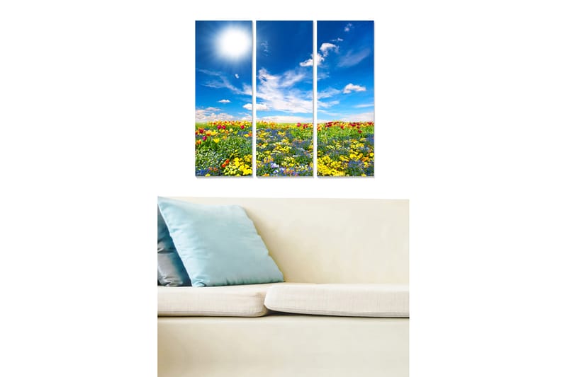 CANVASTAVLA Scenic 3-pack Flerfärgad 20x50 cm - Inredning & dekor - Tavlor & konst - Canvastavla