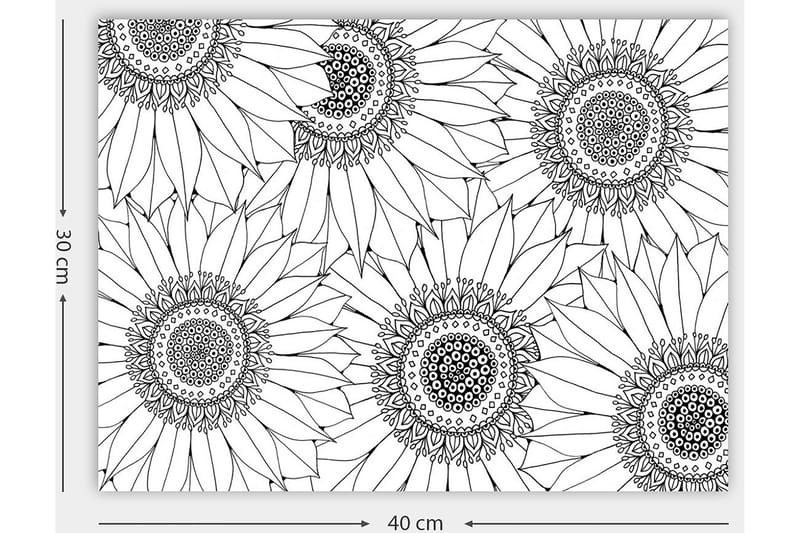 DEKORATIV CANVASTAVLA 30x40 cm Vit|Svart - Inredning & dekor - Tavlor & konst - Canvastavla