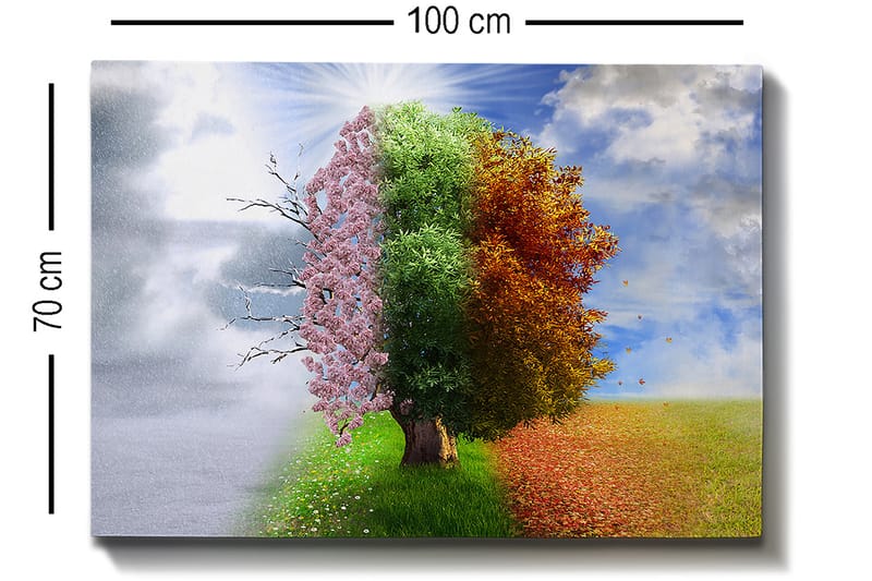 DEKORATIV CANVASTAVLA 70x100 cm Flerfärgad - Inredning & dekor - Tavlor & konst - Canvastavla