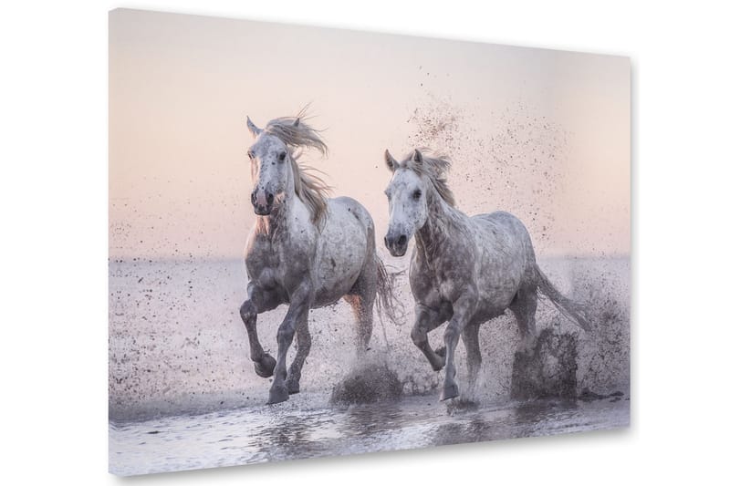 HORSES Tavla 75x100 cm Multifärgad - Canvastavla