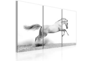 TAVLA A galloping horse 90x60