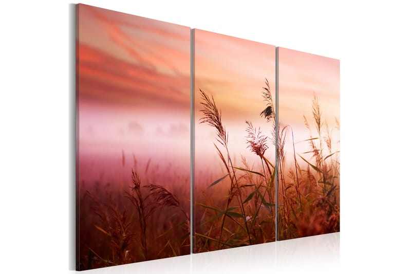 TAVLA A silent meadow 90x60 - Artgeist sp. z o. o. - Inredning & dekor - Tavlor & konst - Canvastavla