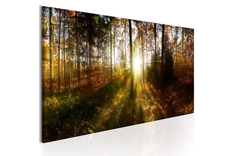 TAVLA Beautiful Forest 120x40 - Artgeist sp. z o. o. - Inredning & dekor - Tavlor & konst - Canvastavla