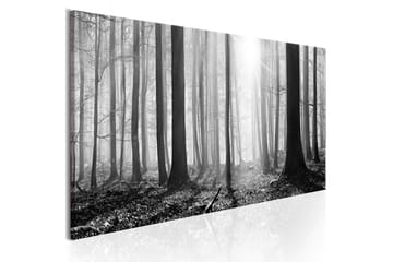 TAVLA Black and White Forest 120x40