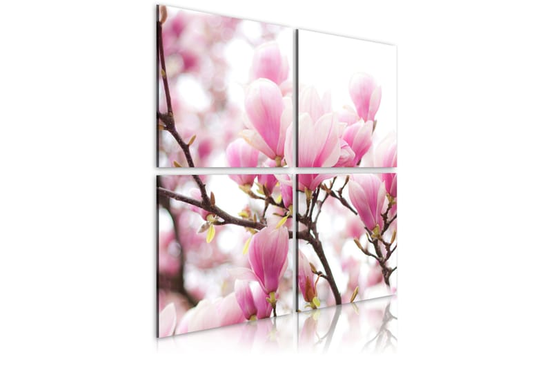 Tavla Blommande Magnolia Träd 40X40 Rosa - Artgeist sp. z o. o. - Inredning & dekor - Tavlor & konst - Canvastavla