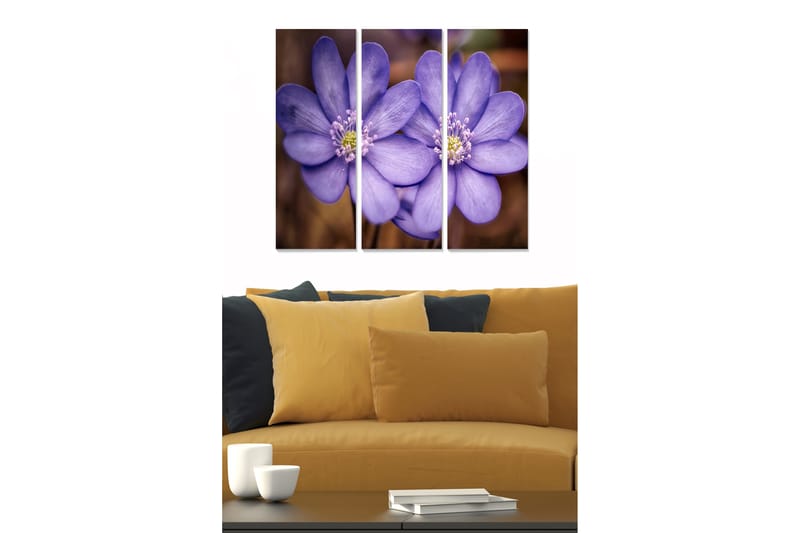 Tavla Floral 3-Pack Flerfärgad 20X50 Cm - 20x50 cm - Inredning & dekor - Tavlor & konst - Canvastavla