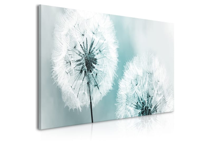 TAVLA Fluffy Dandelions (1 Part) Blue Wide 100x45 - Artgeist sp. z o. o. - Inredning & dekor - Tavlor & konst - Canvastavla