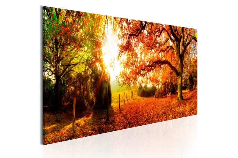 TAVLA Magic of Autumn 135x45 - Artgeist sp. z o. o. - Inredning & dekor - Tavlor & konst - Canvastavla