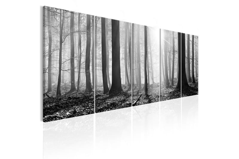 Tavla Monochrome Forest 225X90 Vit - Artgeist sp. z o. o. - Inredning & dekor - Tavlor & konst - Canvastavla