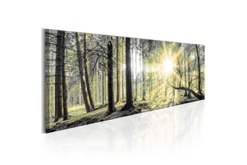 Tavla Morning Forest 150X50 Flerfärgad|Grön Landskap