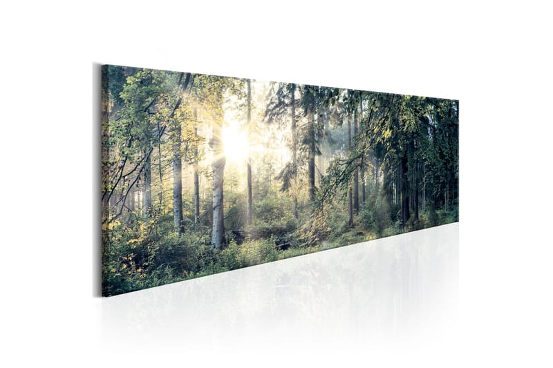 TAVLA Morning Magic 135x45 - Artgeist sp. z o. o. - Inredning & dekor - Tavlor & konst - Canvastavla