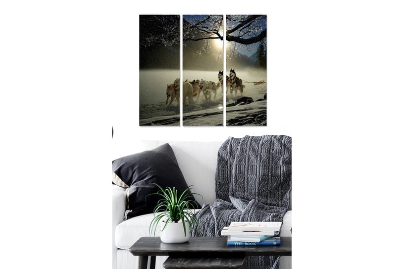 Tavla Scenic 3-Pack Flerfärgad 20X50 - 20x50 cm - Inredning & dekor - Tavlor & konst - Canvastavla