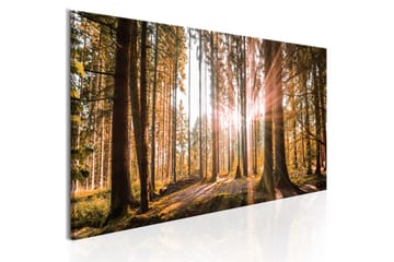 TAVLA Small Natural Wonders 120x40