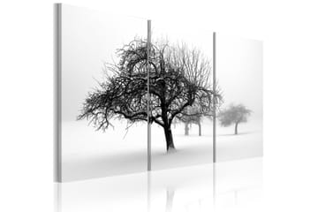 Tavla Trees Submerged In White 60X40 Vit