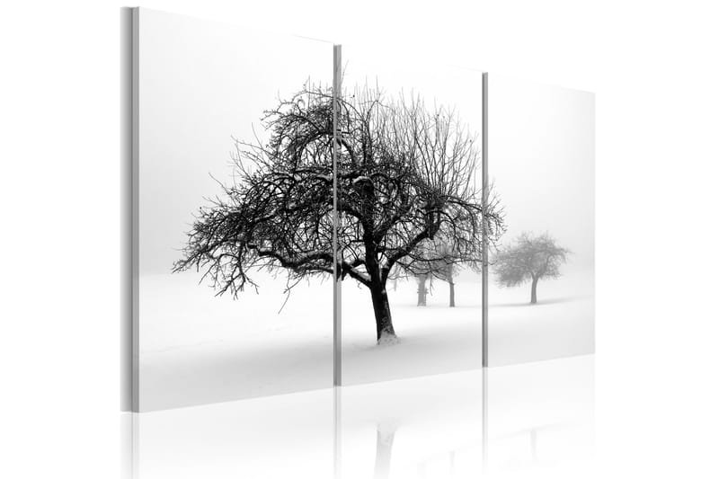 TAVLA Trees submerged in white 90x60 - Artgeist sp. z o. o. - Inredning & dekor - Tavlor & konst - Canvastavla