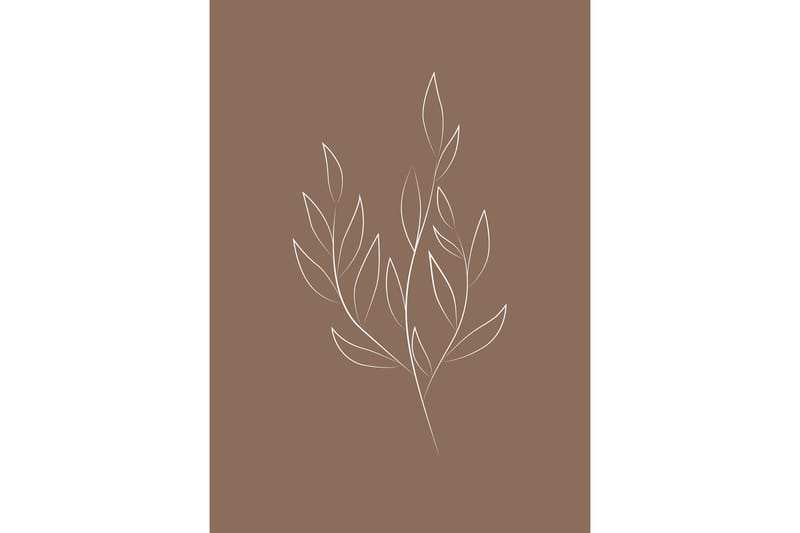 Poster Drawed leaf 50x70 cm - Brun - Inredning & dekor - Tavlor & konst - Poster & print