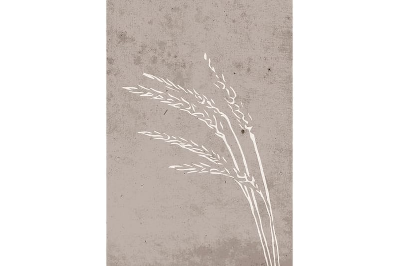 Poster Seeds 21x30 cm - Beige - Inredning & dekor - Tavlor & konst - Poster & print