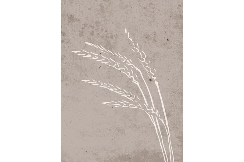 Poster Seeds 30x40 cm - Beige - Inredning & dekor - Tavlor & konst - Poster & print