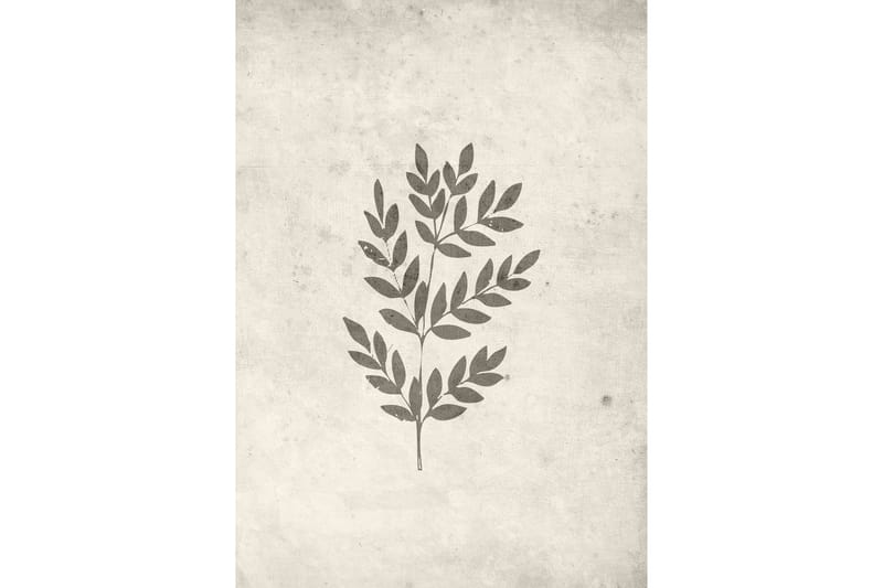 Poster Spring leaf 21x30 cm - Beige - Inredning & dekor - Tavlor & konst - Poster & print