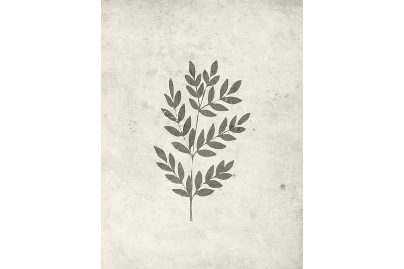 Poster Spring leaf 30x40 cm - Beige - Inredning & dekor - Tavlor & konst - Poster & print