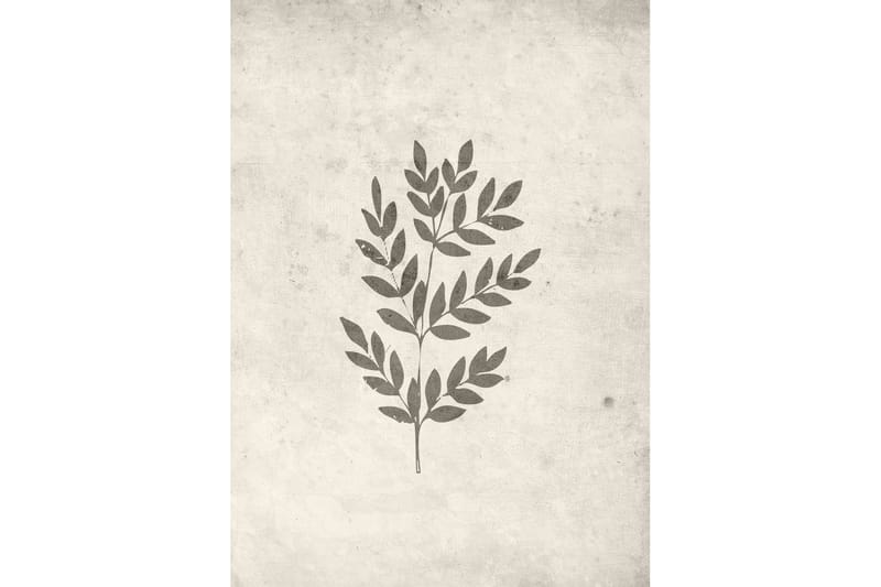 Poster Spring leaf 50x70 cm - Beige - Inredning & dekor - Tavlor & konst - Poster & print