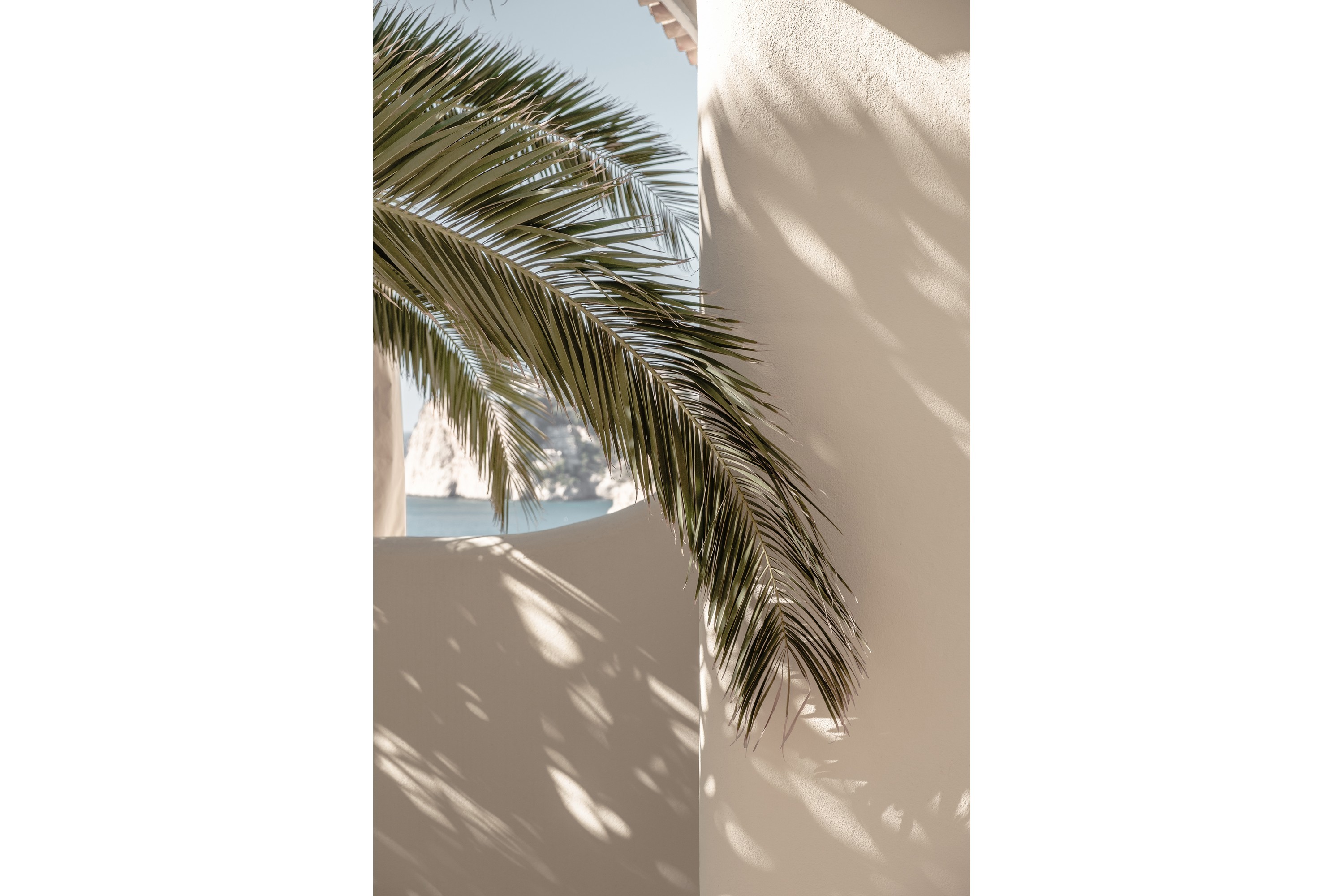 Poster Palmleaf 21×30 cm Beige –