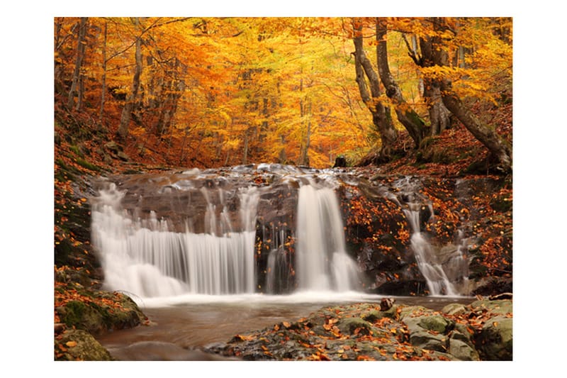 FOTOTAPET Autumn Landscape Waterfall In Forest 350x270 - Artgeist sp. z o. o. - Inredning & dekor - Väggdekor - Tapeter & tapettillbehör - Fototapeter