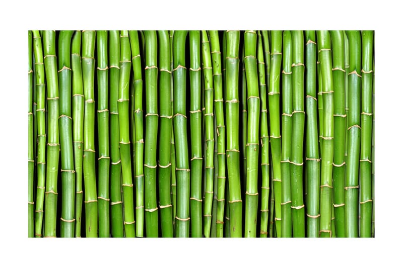 FOTOTAPET Bamboo Wall 450x270 - Artgeist sp. z o. o. - Inredning & dekor - Väggdekor - Tapeter & tapettillbehör - Fototapeter