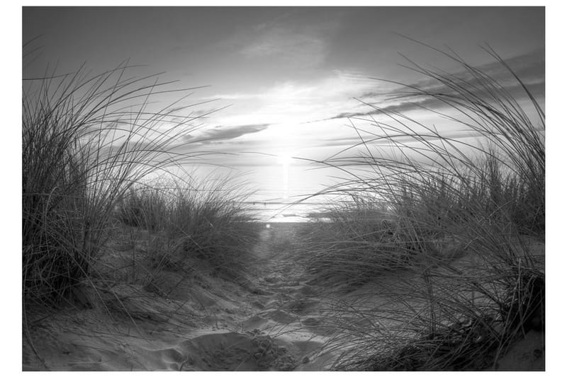 FOTOTAPET Beach Black And White 100x70 - Artgeist sp. z o. o. - Inredning & dekor - Väggdekor - Tapeter & tapettillbehör - Fototapeter