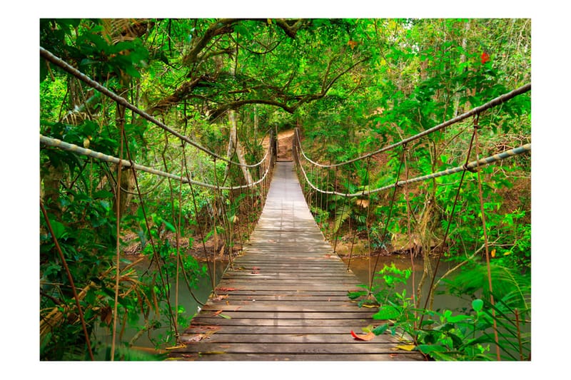 FOTOTAPET Bridge Amid Greenery 100x70 - Artgeist sp. z o. o. - Inredning & dekor - Väggdekor - Tapeter & tapettillbehör - Fototapeter