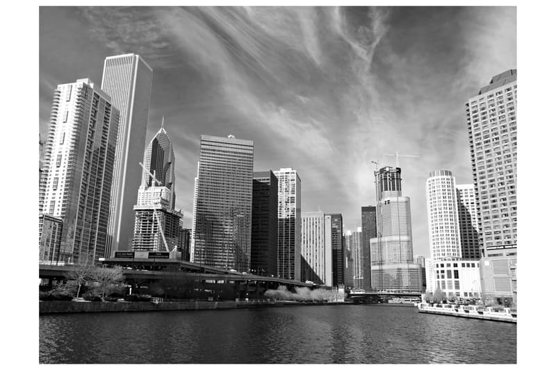 FOTOTAPET Chicago Skyline Svartvitt 250x193 - Artgeist sp. z o. o. - Inredning & dekor - Väggdekor - Tapeter & tapettillbehör - Fototapeter